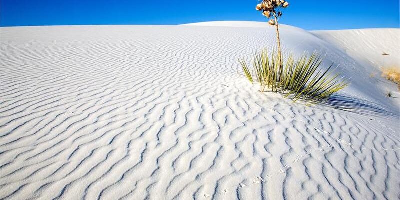 white sand new mexico2