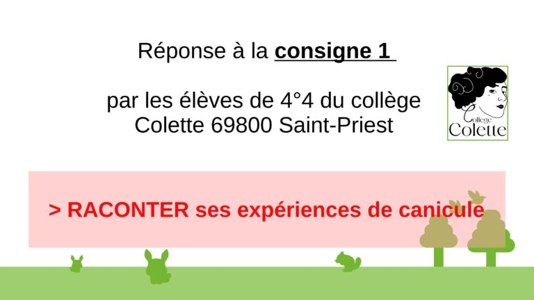 reponse consigne1-Colette_01